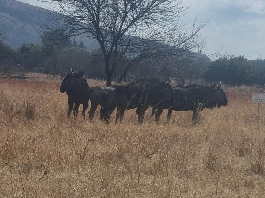 Commercial Property for Sale in La Camargue Private Country Estate North West